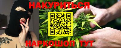 сатива Шебекино