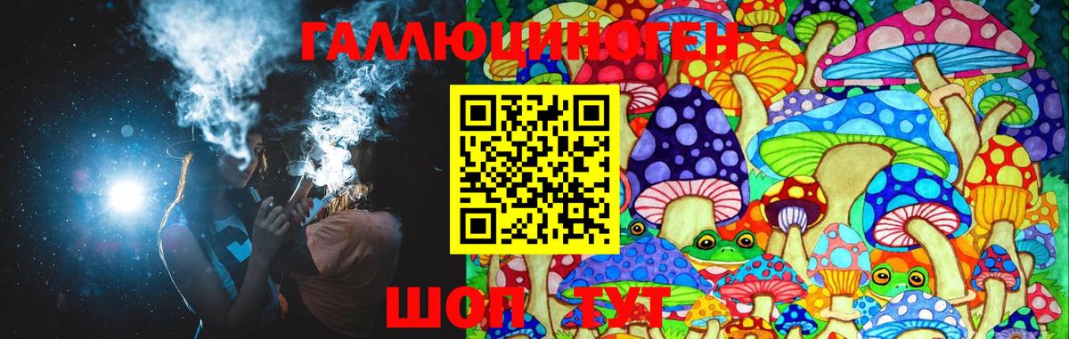 Галлюциногенные грибы GOLDEN TEACHER  Галлюциногенные грибы Psilocybine cubensis  Богородицк  Вход с VPN 